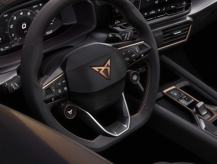 Cupra interieur stuur