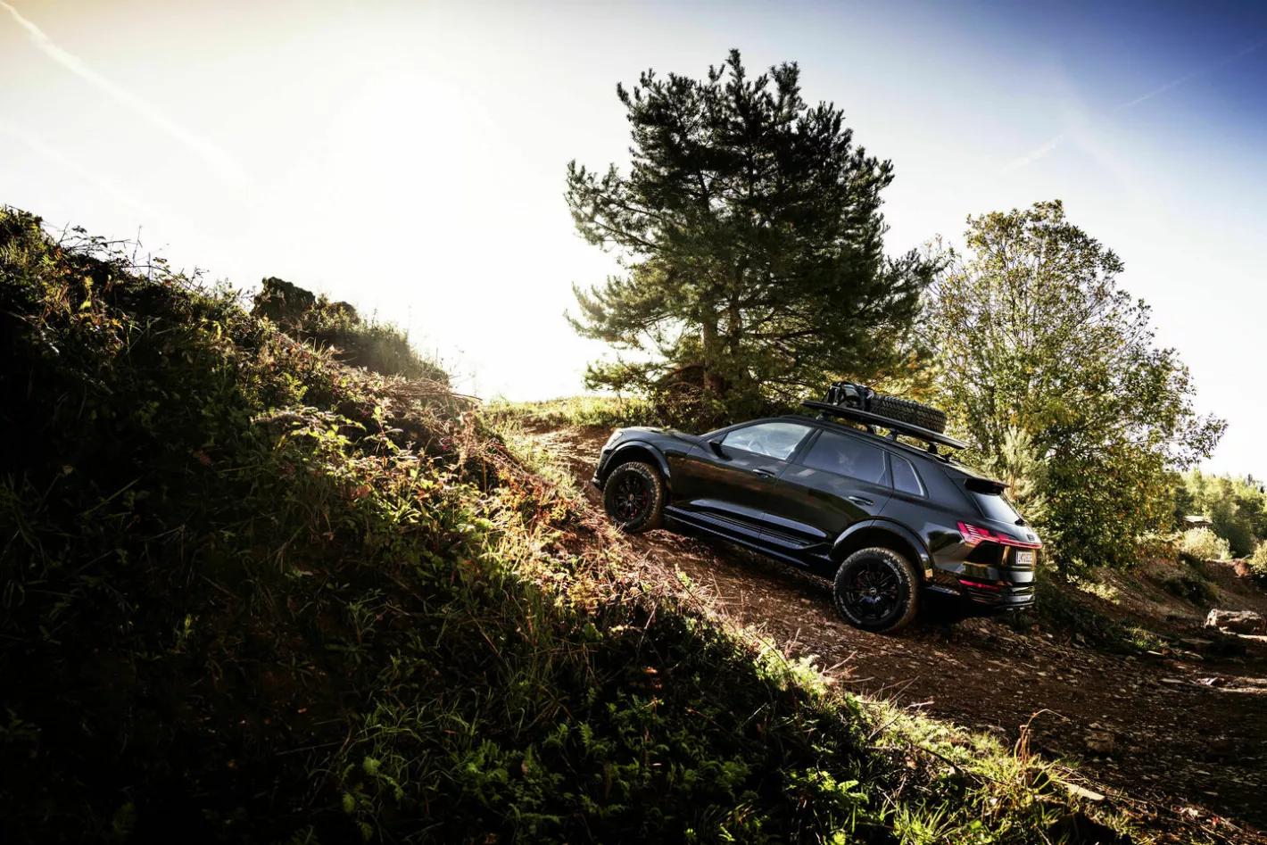 Audi Q8 Dakar